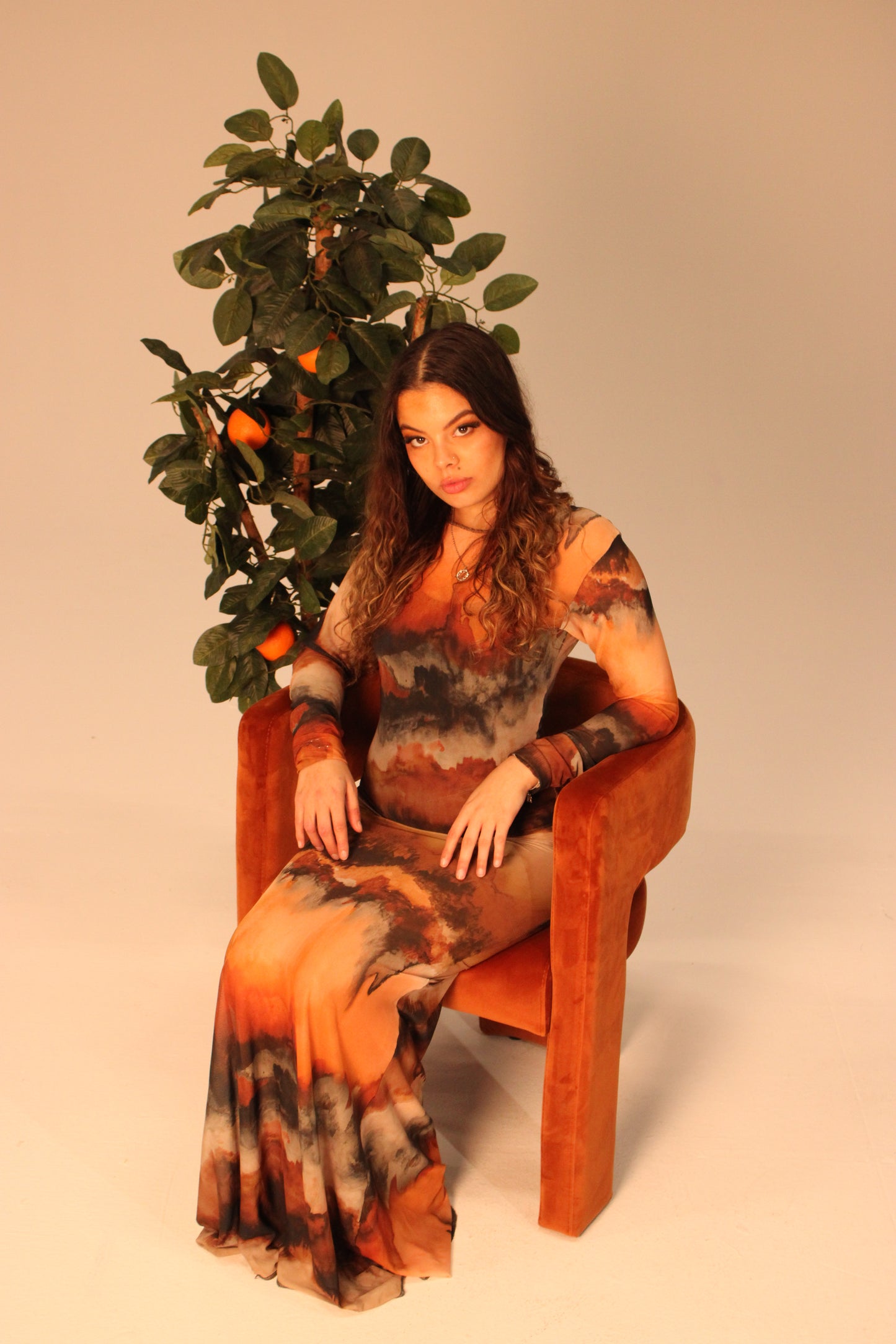 Cocoa Mesh Dress